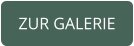 ZUR GALERIE